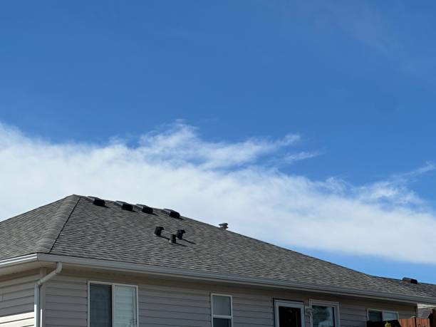 Professional Roofing Services in Woodson Terrace, MO